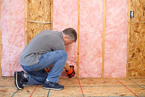 Best Residential Insulation in Kitsap Lake, WA